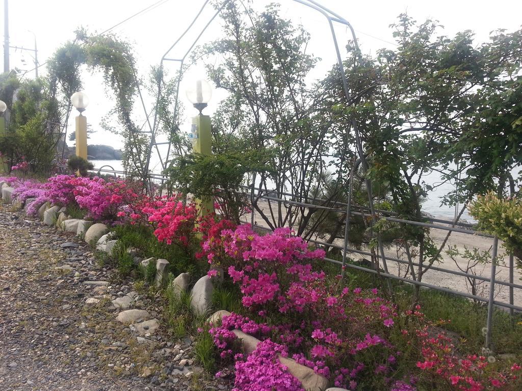 Yongdu Beach Pension Boryeong Buitenkant foto