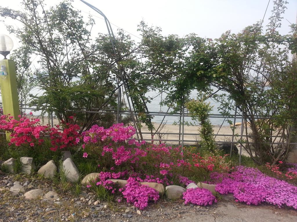Yongdu Beach Pension Boryeong Buitenkant foto