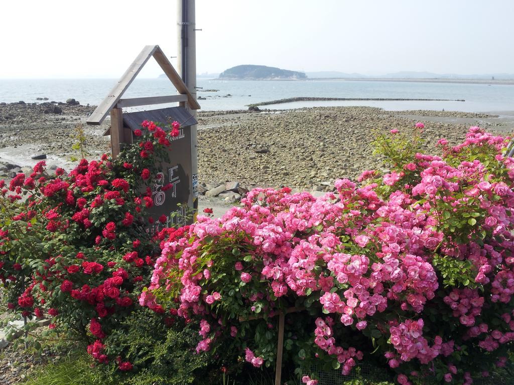 Yongdu Beach Pension Boryeong Buitenkant foto