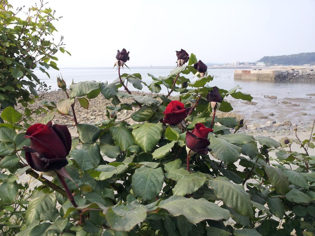 Yongdu Beach Pension Boryeong Buitenkant foto